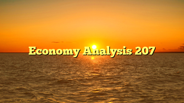 Economy Analysis 207