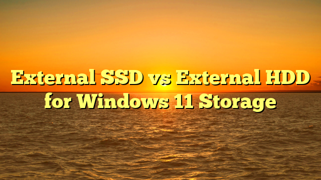 External SSD vs External HDD for Windows 11 Storage