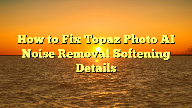 How to Fix Topaz Photo AI Noise Removal Softening Details